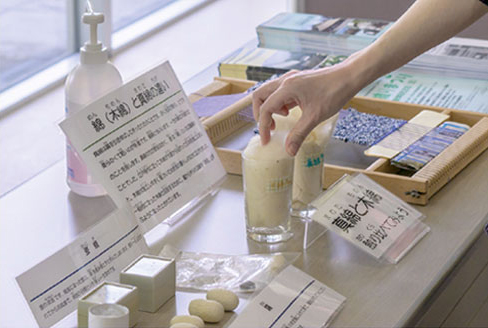 蚕についての展示風景