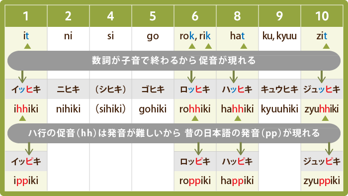 1,2,4,5,6,8,9,10の数に匹を付けた時にどう変化したのかを表した表。数詞が子音で終わるから促音が表れるが ハ行の促音（hh）は発音が難しいから昔の日本語の発音（pp）が現れる。